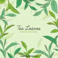 Free vector tea leaves background in hand drawn style