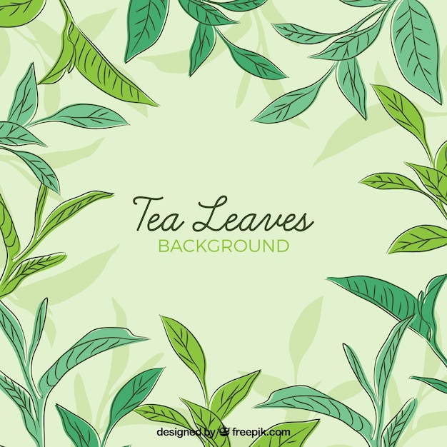 Фон из листьев чая в ручном стиле