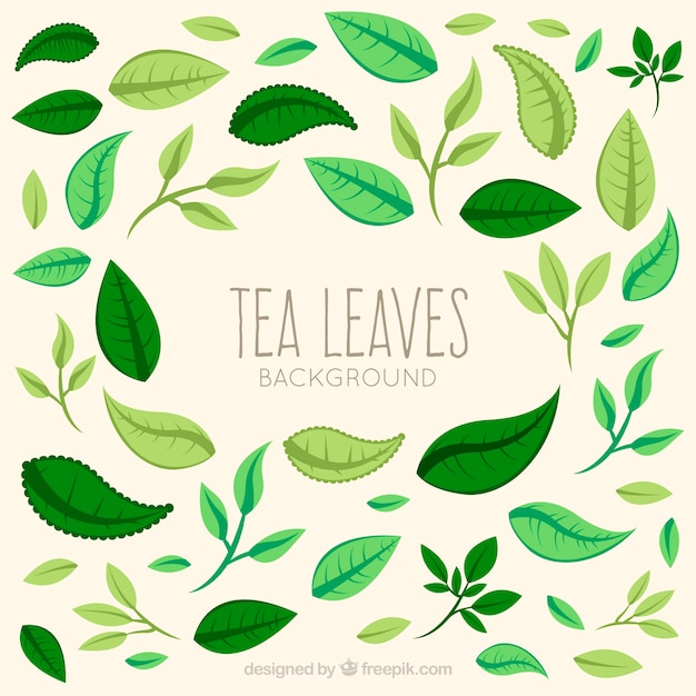 Vettore gratuito stile disegnato del fondo delle foglie di tè a disposizione