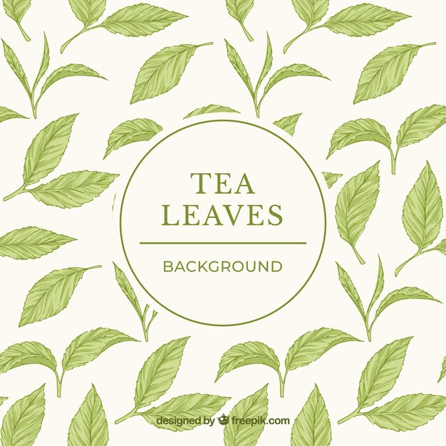 Tea leaves background in hand drawn style