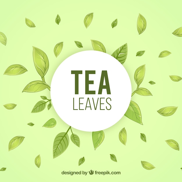 Tea leaves background in hand drawn style
