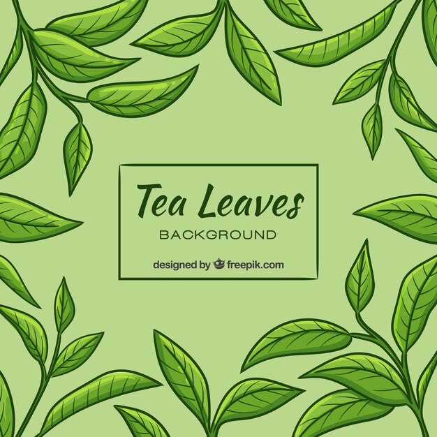 Tea leaves background in hand drawn style