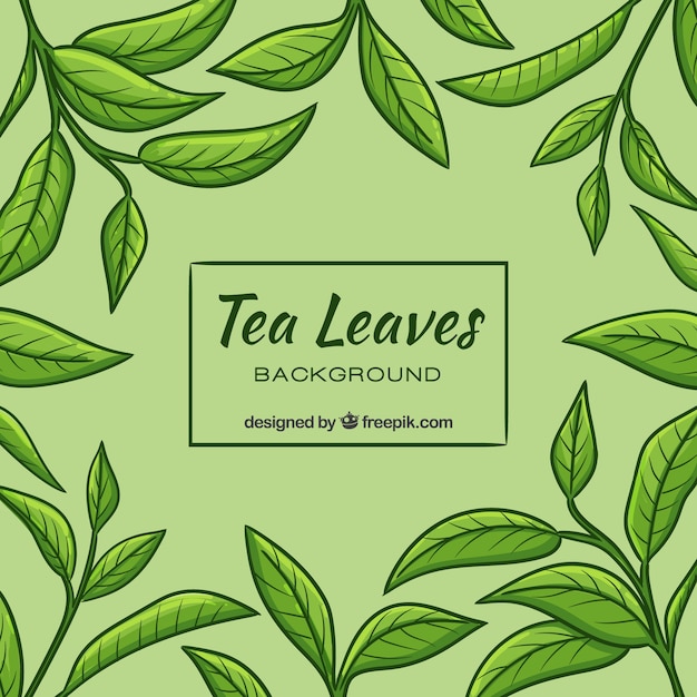 Бесплатное векторное изображение Фон из листьев чая в ручном стиле