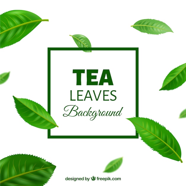 Бесплатное векторное изображение Фон из чайных листьев в реалистичном стиле