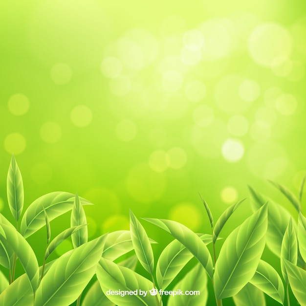 Free vector tea leaves background in realistic style