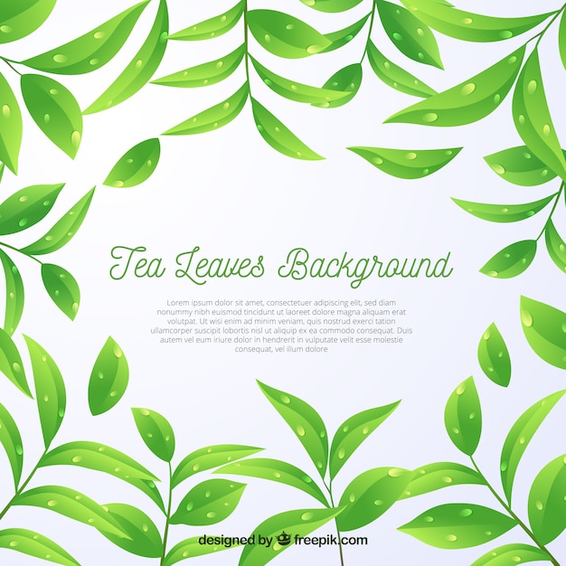 Free vector tea leaves background in realistic style