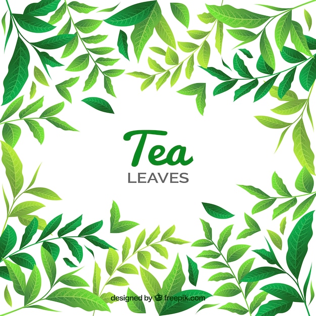 Tea leaves background with different plants