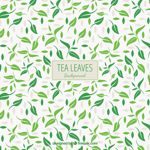 Tea leaves background with flat design