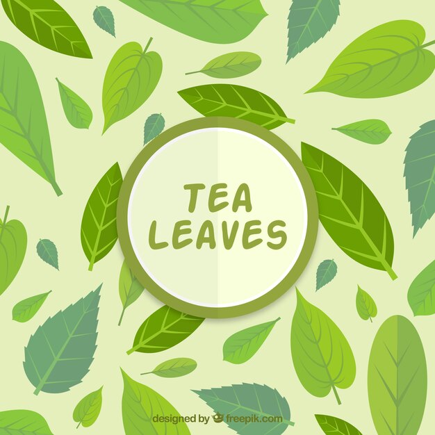 Фон из чайных листьев с плоским дизайном