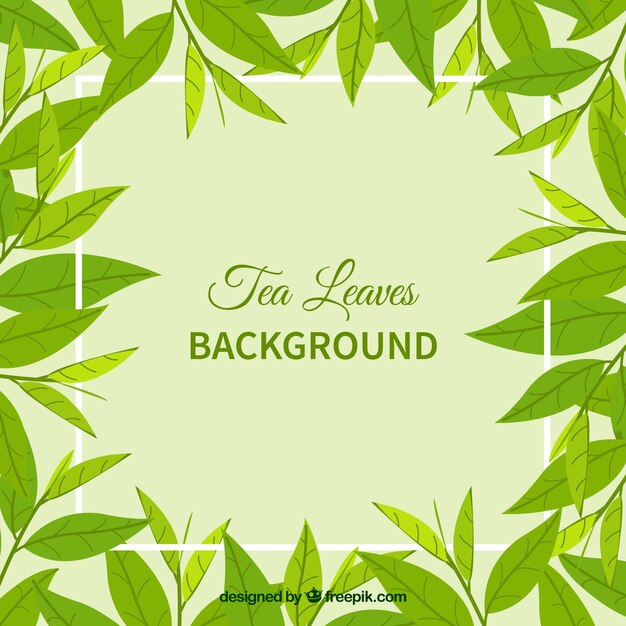 Tea leaves background with flat design