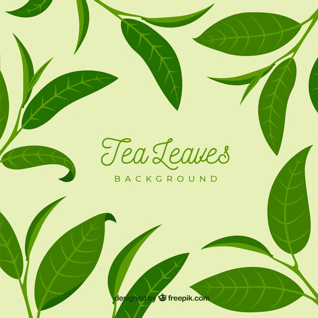 Tea leaves background with flat design