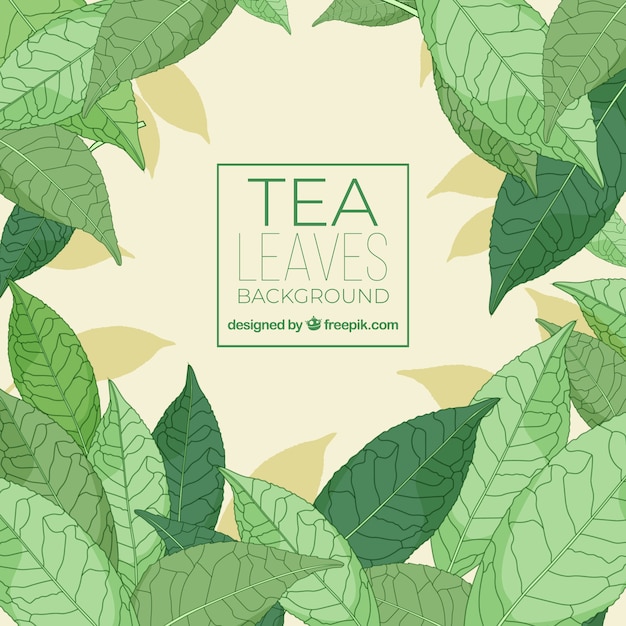 Free vector tea leaves background with flat design