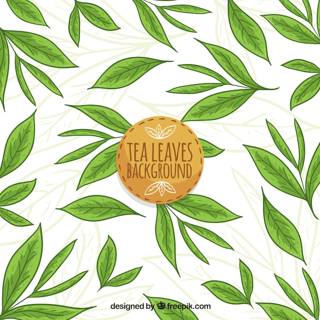 Бесплатное векторное изображение Фон из чайных листьев с ручным рисунком