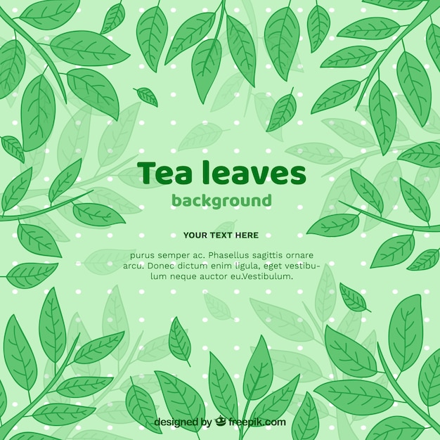 Tea leaves background with hand drawn style