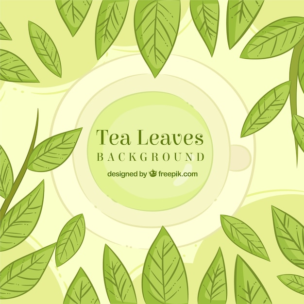 Free vector tea leaves background with hand drawn style