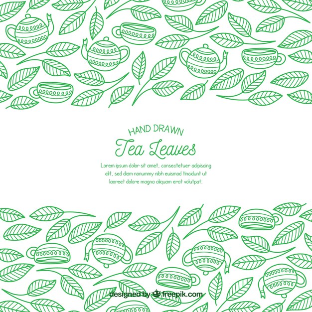 Tea leaves background with hand drawn style