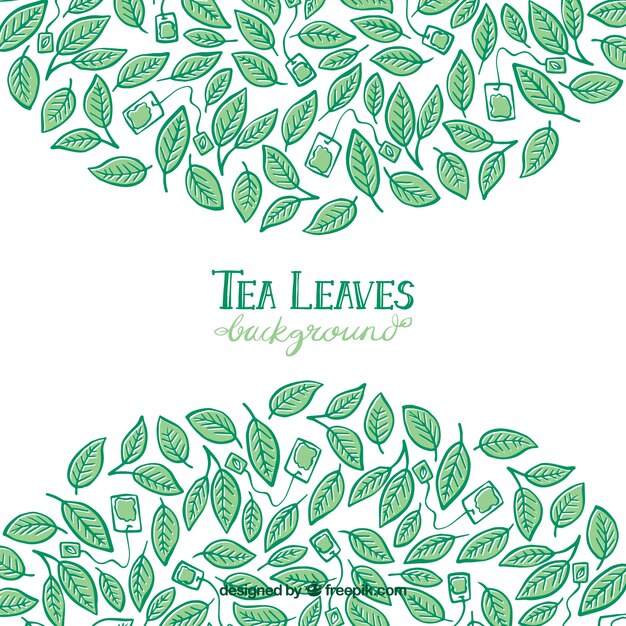 Tea leaves background with hand drawn style