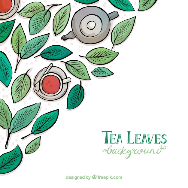 Free vector tea leaves background with hand drawn style