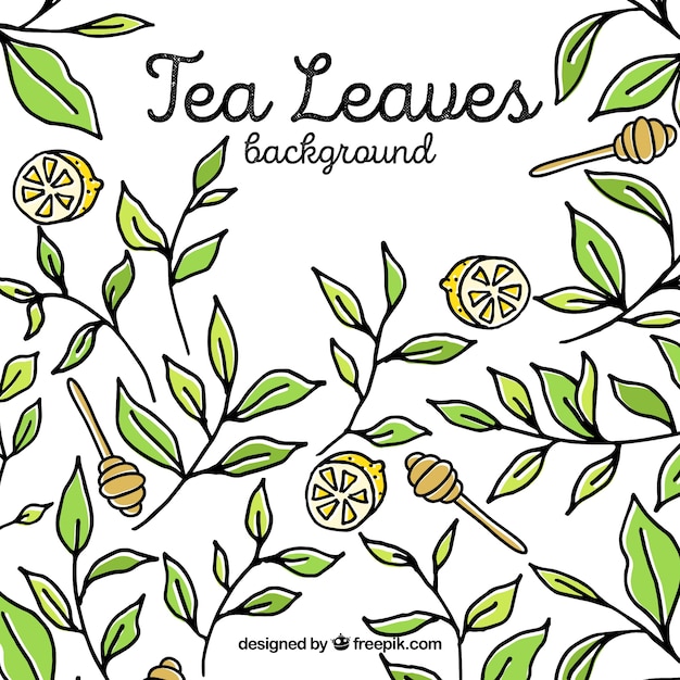 Free vector tea leaves background with hand drawn style