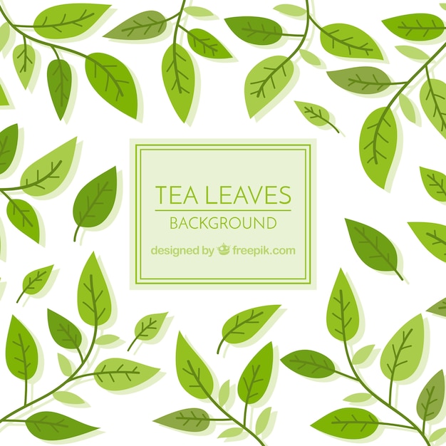Фон из чайных листьев с растениями