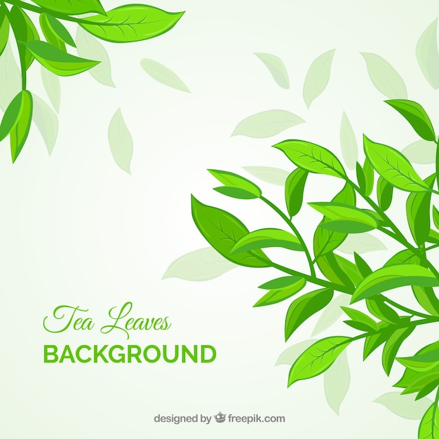 Tea leaves background with plants
