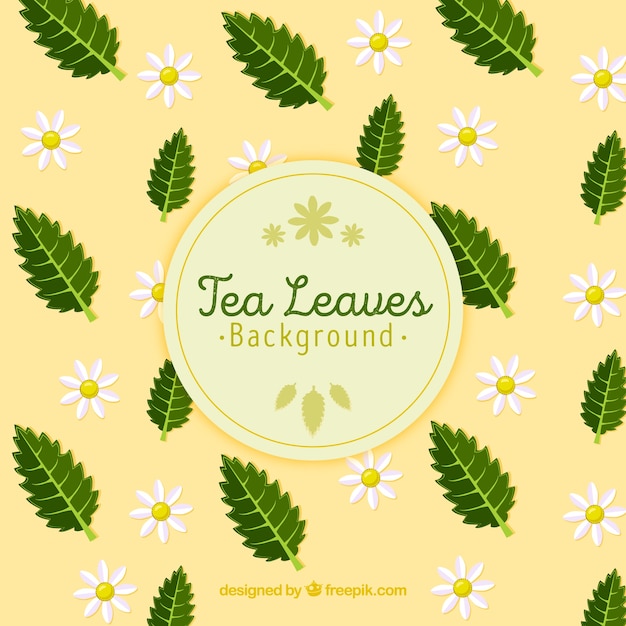 Free vector tea leaves background with plants