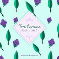 Free vector tea leaves background with plants