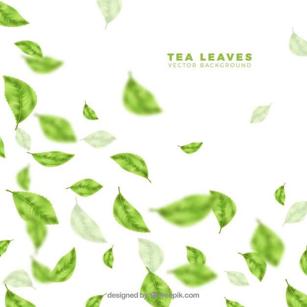 Tea leaves background with realistic style