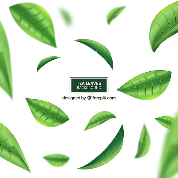 Vettore gratuito foglie di tè sfondo con stile realistico