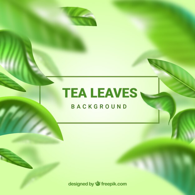 Tea leaves background with realistic style