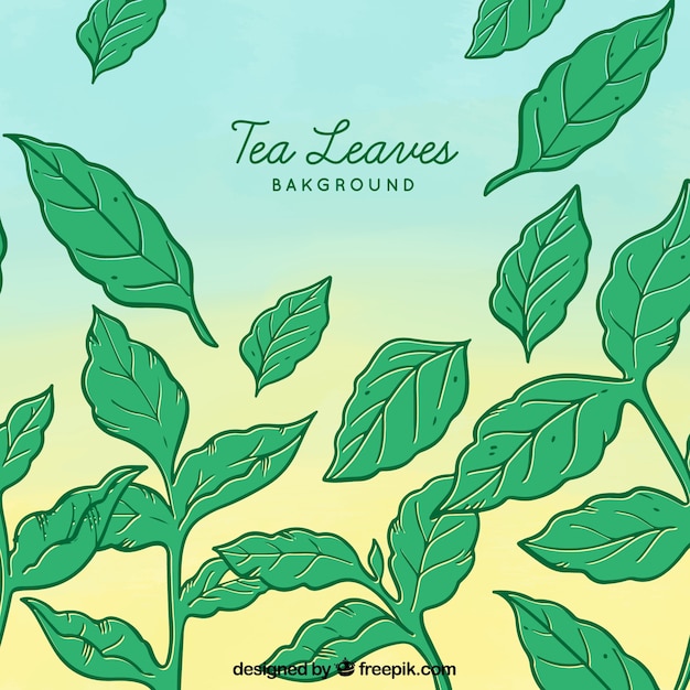 Tea leaves background