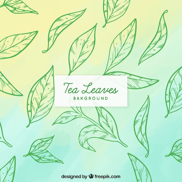 Free vector tea leaves background