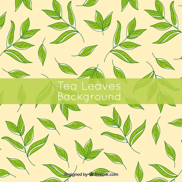 Tea leaves background