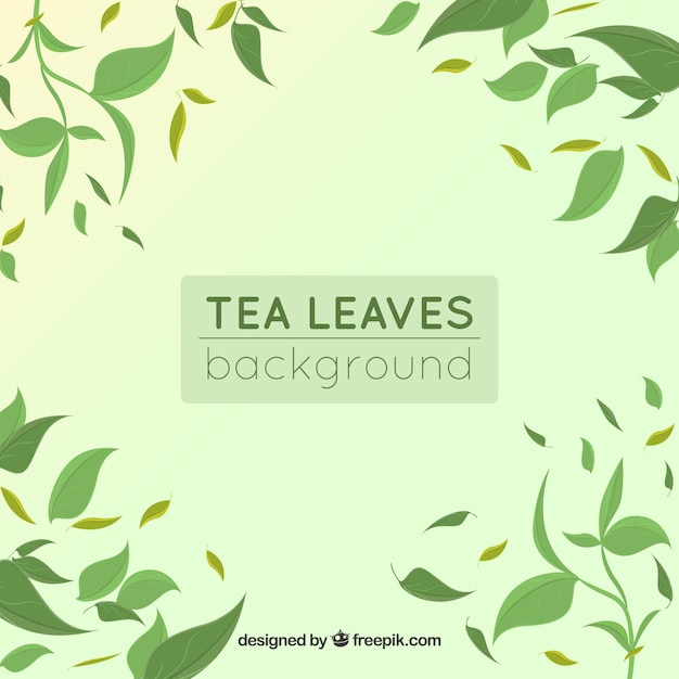 Tea leaves background