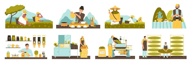 Icone piatte per la produzione di tè con illustrazione vettoriale isolata del processo di raccolta e confezionamento