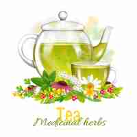 Free vector teapot and tea cup medicinal herbs illustration