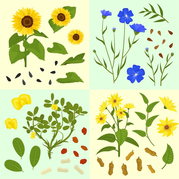 Free vector technical flowers plants flat 2x2 set of square compositions with isolated images of blossoms and seed vector illustration