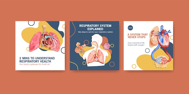 Annunci di design di modelli con anatomia umana del polmone e delle vie respiratorie