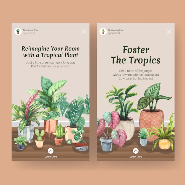 Дизайн шаблона с летними растениями и комнатными растениями для социальных сетей, сообщества, интернета и рекламы акварели