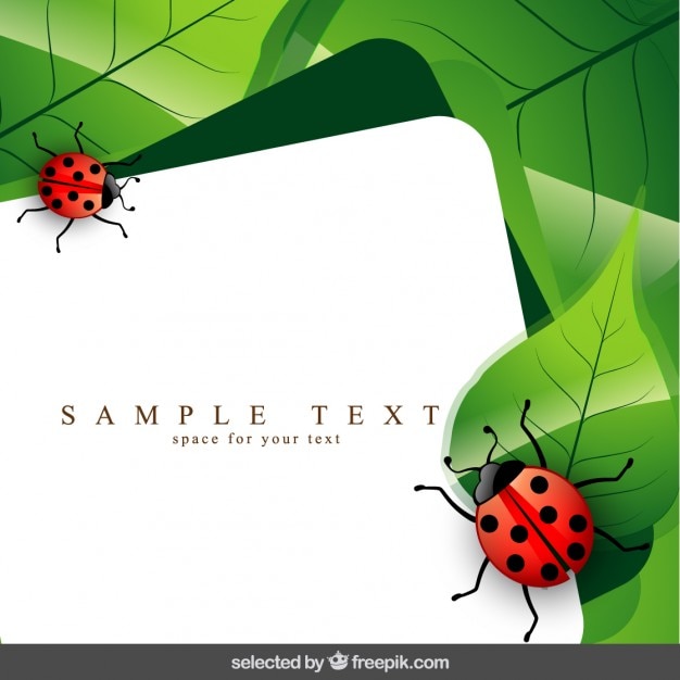 Free vector template with ladybug and leaves