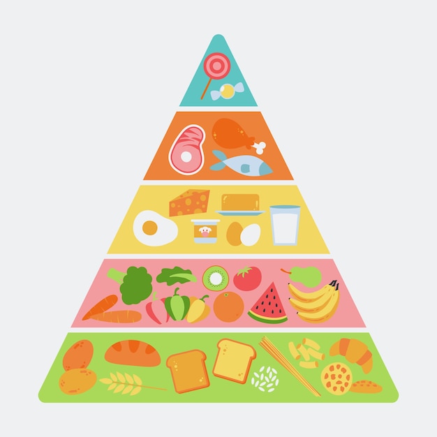 Modello con piramide alimentare