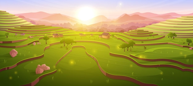 Free vector terraced rice fields at sunrise morning farmland