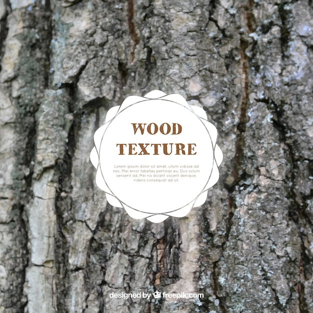 Vettore gratuito tronco d'albero texture