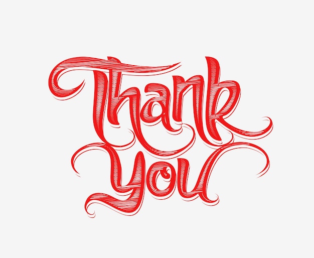 Thank You Hand lettering typographical vector background