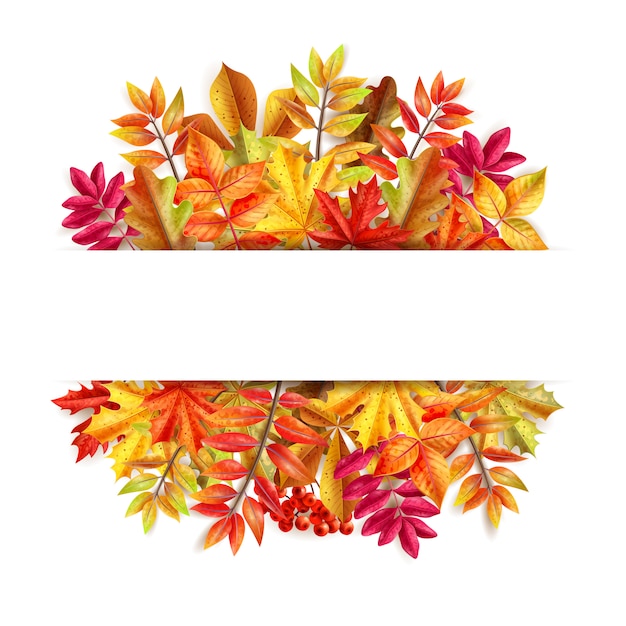 Thanksgiving day composition with colorful leaves frame background