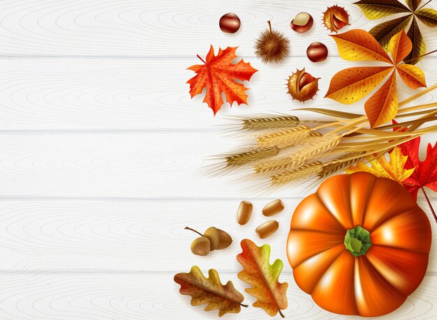 Thanksgiving day stylish composition with autumn colors and different pumpkins set