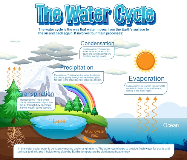 科学教育のための水循環図