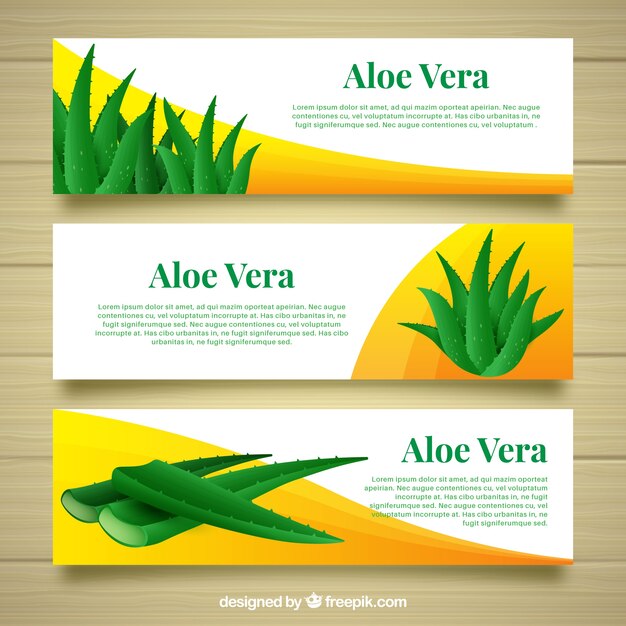 Three banners of aloe vera with abstract shapes