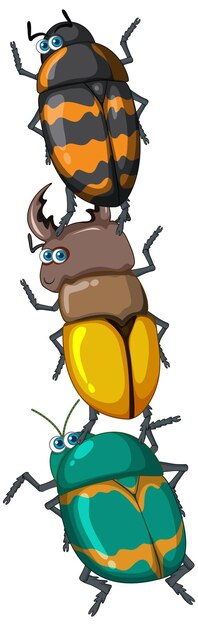 Free vector three beetle on white background