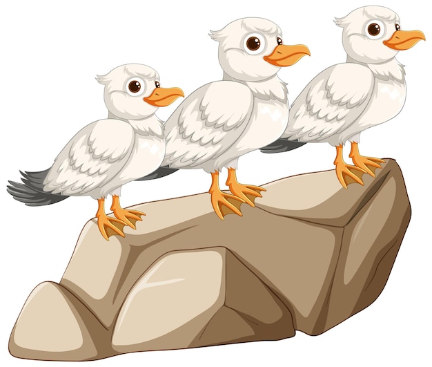 Three birds perched on a rock